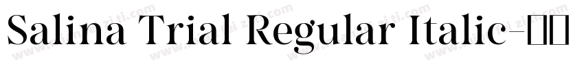 Salina Trial Regular Italic字体转换